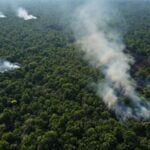Aerial view of burning areas in the Amazon rainforest.