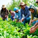 Diverse migrants working together in sustainable agriculture.