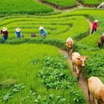 Small-scale farmers working in green fields with crops.