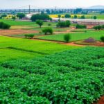 Farmers working in lush African fields with infrastructure.
