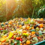 Compost bins filled with colorful organic waste and greenery.