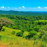 Lush landscape of Gorongosa National Park teeming with wildlife.