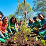 Volunteers planting trees in a community park.