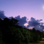 Illuminated solar street light amidst greenery in Rotuma.