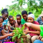 Mozambican youth collaborating in a lively outdoor setting.