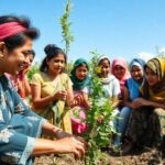 Diverse women collaborating on sustainable practices under the sun.