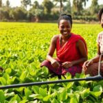 Rwandan family using solar-powered irrigation in their field.