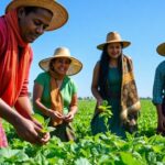 Diverse farmers working together in a green field.
