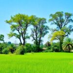 Vibrant landscape with green fields and healthy trees.