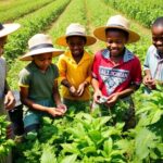 Young African students learning agriculture in a green field.