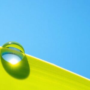 Water droplet on leaf reflecting a bright sky.