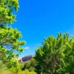 Serene Australian landscape with greenery and blue skies.