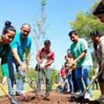 People planting trees and cleaning a park together.