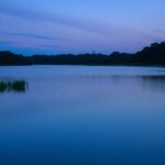 Tranquil lake at twilight with lush greenery.