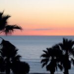 Gaza dawn with serene sea and palm tree silhouettes.