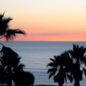 Gaza dawn with serene sea and palm tree silhouettes.