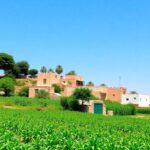 Lush Arab landscape with greenery and traditional architecture.