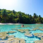 Tropical beach in Vanuatu with clear waters and palm trees.