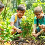 Young conservationists planting trees in a lush green forest.