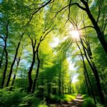Lush forest path under sunlight with vibrant greenery.