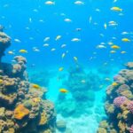 Underwater scene with colorful corals and diverse marine life.