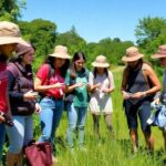 Volunteers collecting samples in nature during a citizen science project.