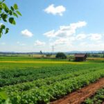 Sustainable farms with green fields and diverse crops.