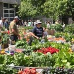 Students and local growers in a colorful school garden.