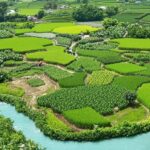 Farmers working in green fields with water features.