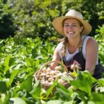 Woman harvesting mushrooms in a green field.