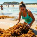 Elena Martinez collecting Sargassum seaweed on the beach.