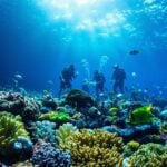 Researchers sampling water amidst colorful coral reefs.