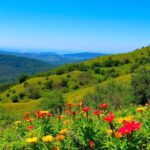 Lush landscape of a UNESCO Biosphere Reserve with diverse wildlife.