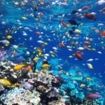 Young citizens collect water samples to protect marine life.