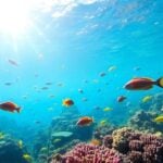 Colorful marine life thriving in a protected ocean environment.