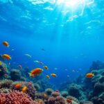 Colorful coral reef with various fish swimming.