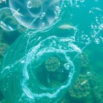 Ocean water with coral and marine life, eDNA technology impact.