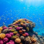 Underwater scene with colorful corals and marine life.