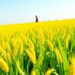 Smiling Chinese farmer holding harvested crops.