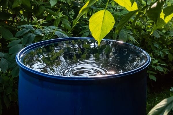 EBRD and EU Support Water Conservation Campaign for Egypt…