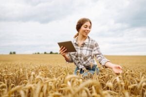 Woman in a plaid shirt holding a tablet while standing in a golden wheat field, inspecting the crops.