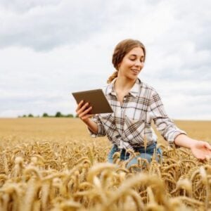 Woman in a plaid shirt holding a tablet while standing in a golden wheat field, inspecting the crops.