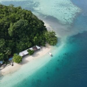 Aerial view of a tropical island with dense forest, white-sand beach, turquoise water, thatched huts along the shore, and a small boat near the beach.