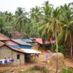 Rural village scene with brick houses and tiled roofs, laundry hanging on a line, and tall coconut palms in a tropical setting.
