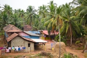 Rural village scene with brick houses and tiled roofs, laundry hanging on a line, and tall coconut palms in a tropical setting.