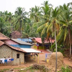 Rural village scene with brick houses and tiled roofs, laundry hanging on a line, and tall coconut palms in a tropical setting.