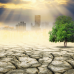 Cracked dry earth with a lone green tree and a hazy city skyline in the background under sun rays, illustrating drought and environmental impact.
