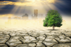 Cracked dry earth with a lone green tree and a hazy city skyline in the background under sun rays, illustrating drought and environmental impact.