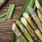 Fresh sugarcane stalks arranged on a wooden surface, with several cut ends and green leaves.