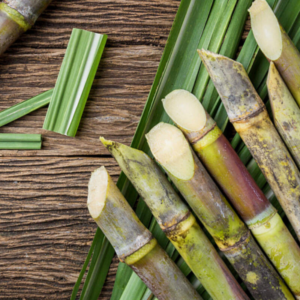 Fresh sugarcane stalks arranged on a wooden surface, with several cut ends and green leaves.